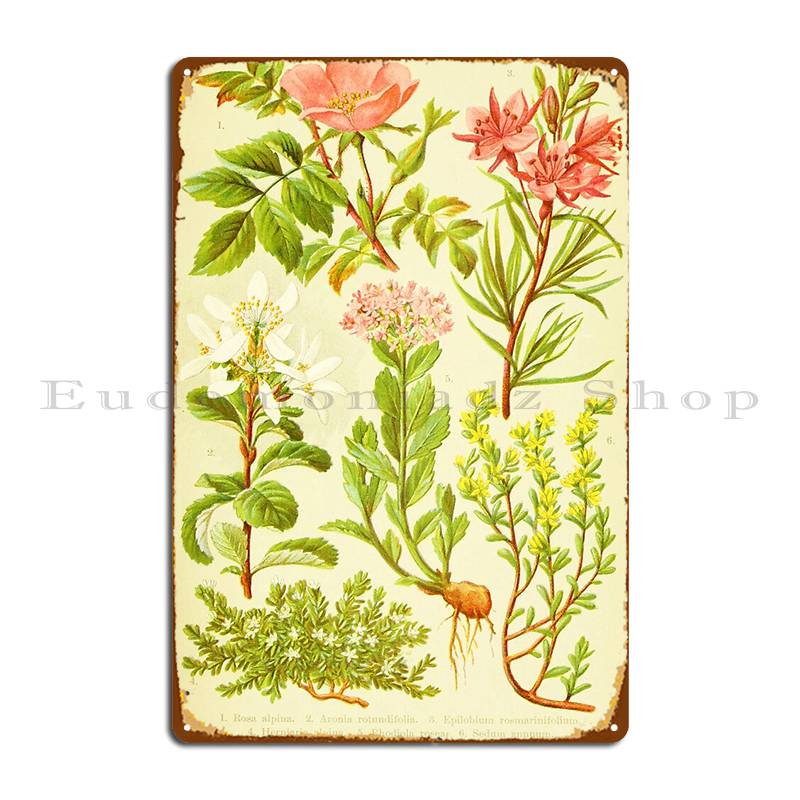 Hd Vintage florido ramo diseño - Home Cinema Wall Design reseña y precio