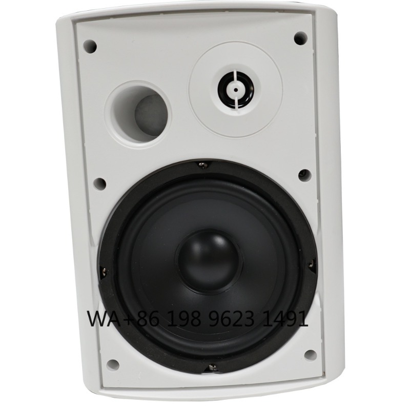 Sistema de Audio Envolvente In - Home Theater Speaker reseña y precio