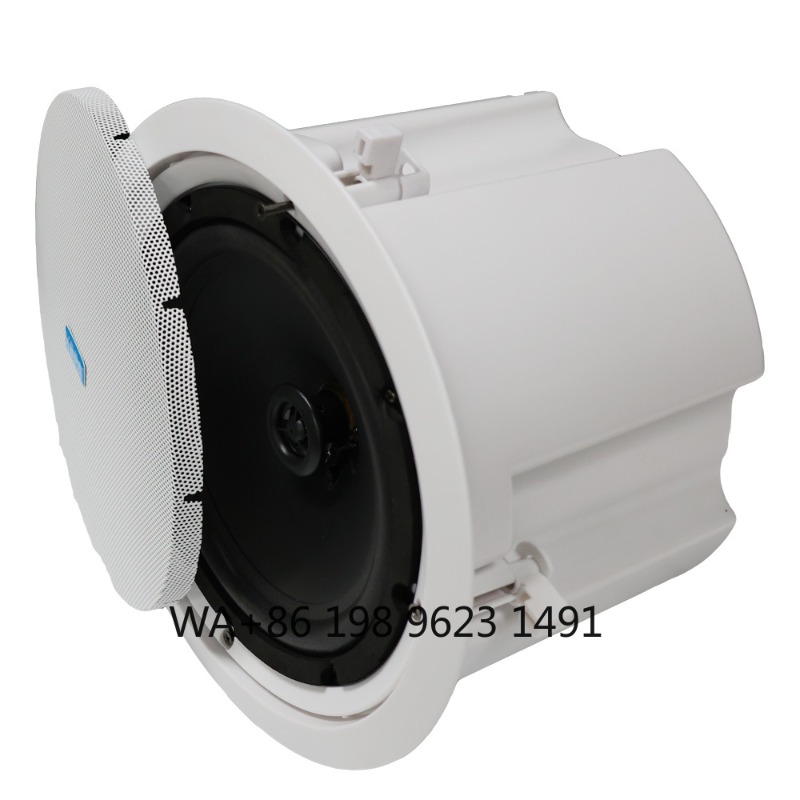 Sistema de Audio Envolvente In - Home Theater Speaker reseña y precio