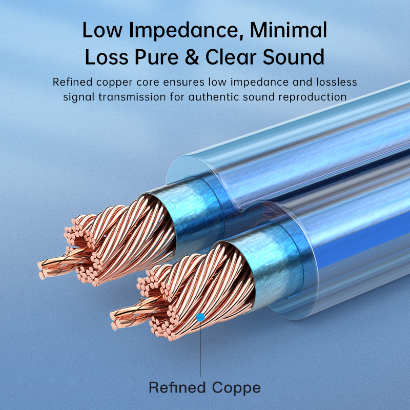 Cable de Altavoz Estéreo de Au - Home Cinema Player reseña y precio