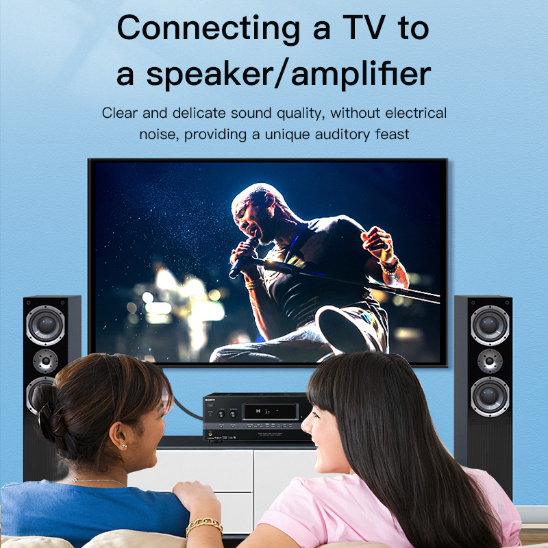 Cable RCA CHOSEAL, Cable de Au - Home Cinema Experience reseña y precio